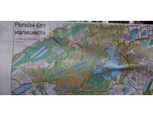 IMG 20201115 111142.jpg