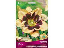 2020 ���������� �� �������� �������� ���������