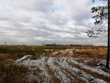 IMG 20201115 131309.jpg