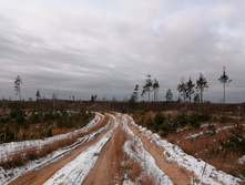 IMG 20201115 110150.jpg