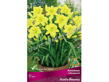 2020 ����� ������ ������� ��� �����! �������� ���������