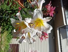 IMG 20200711 110818.jpg