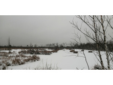 IMG 20201129 090819.jpg