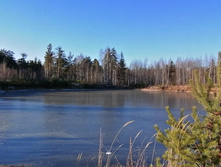 IMG 20201118 114230.jpg