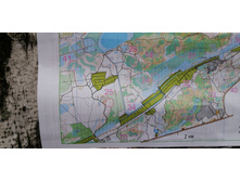 IMG 20201115 111219.jpg