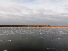 IMG 20201121 133006.jpg