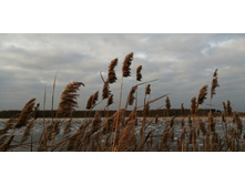 IMG 20201121 140251.jpg