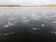 IMG 20201121 125425.jpg