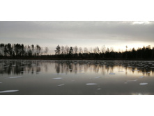 IMG 20201122 115451.jpg