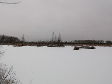 IMG 20201129 091320.jpg