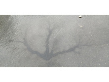 IMG 20201122 132432.jpg