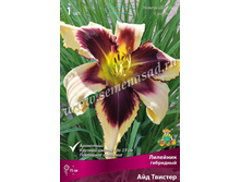 2020 ��� ������� �������� ���������