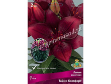 2020 ����� ������� ����� ��������� ���������