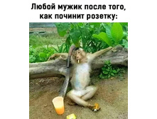 FB IMG 1605798560413.jpg