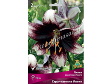 2020 ������������ ����� ����� ��������� �����