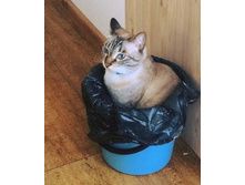 ������� �� ������