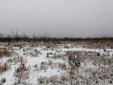 IMG 20201129 094803.jpg