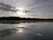 IMG 20201121 131441.jpg