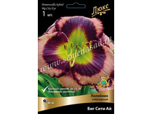 2020 ��� ���� �� * �������� ���������