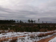 IMG 20201115 110204.jpg