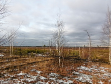 IMG 20201115 121922.jpg