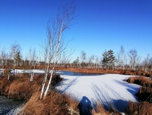 IMG 20201118 120920.jpg