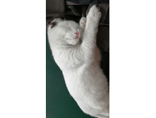 IMG 20201113 124148.jpg