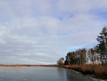 IMG 20201121 125348.jpg