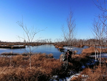 IMG 20201118 120945.jpg