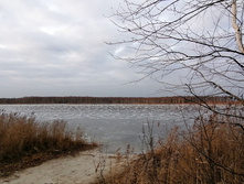 IMG 20201121 141332.jpg