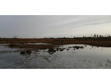 IMG 20201122 114840.jpg