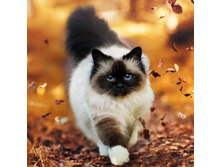 ������ �� ���!