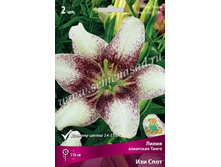 2020 ��� ���� ����� ��������� �����