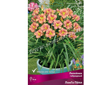 2020 ����� ��� ������� ��� �����! �������� ���������