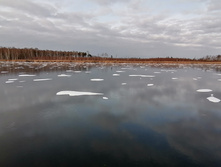 IMG 20201121 131503.jpg