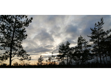 IMG 20201121 143246.jpg