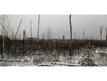 IMG 20201129 095937.jpg