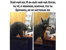 ��� ��� ���. � �� �أ� ��� ���. �����, �� ޣ, � � �������, �������, ��� �� ��������, �� �� ��������� ��.