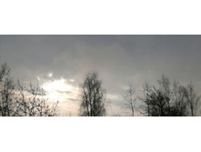 IMG 20201129 121554.jpg