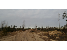 IMG 20201122 110847.jpg