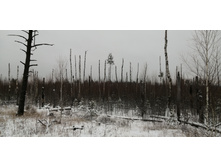 IMG 20201129 095933.jpg