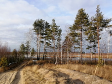 IMG 20201121 124310.jpg