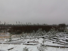 IMG 20201129 104120.jpg