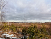 IMG 20201115 121856.jpg