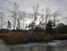 IMG 20201121 125410.jpg