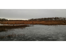 IMG 20201122 114847.jpg