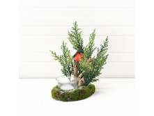 ���������� "�������" �����.*1��.(8�13xh18��)