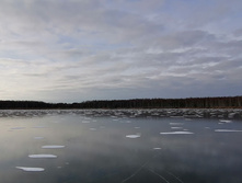 IMG 20201121 131448.jpg