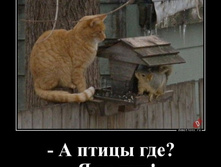 � ����� ���? � �� ���!