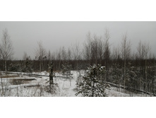 IMG 20201129 095949.jpg